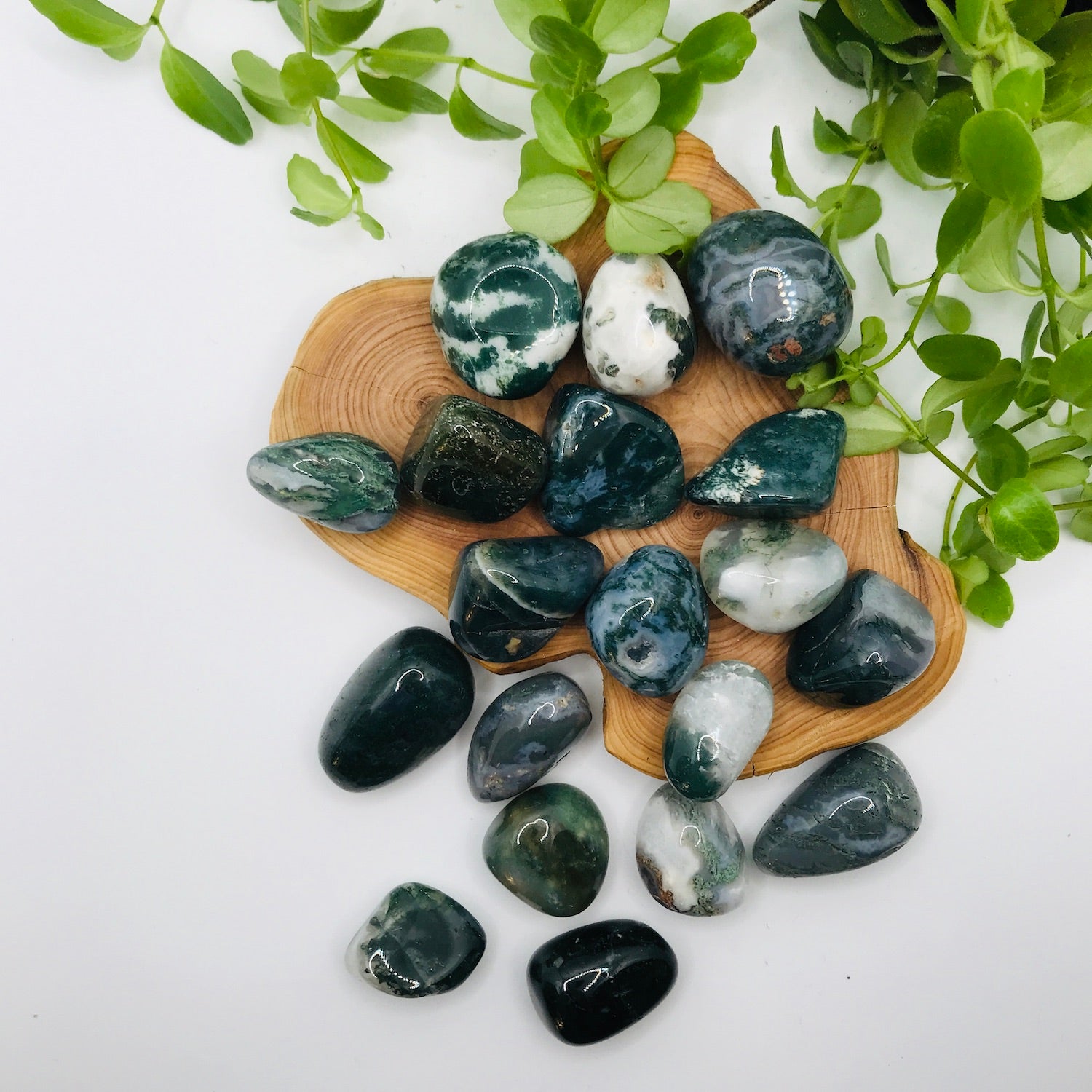 Mala Agates Mousses
